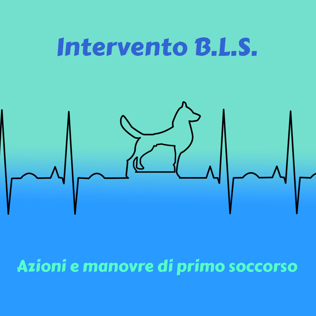 Intervento Cardiaco BLS