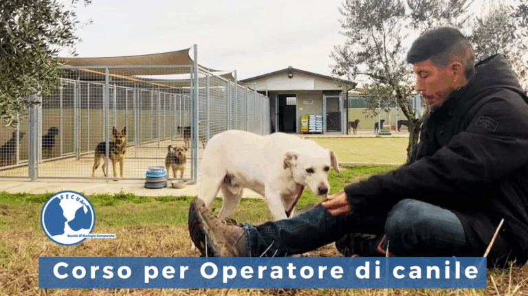 Corso on demand per Operatore di Canile