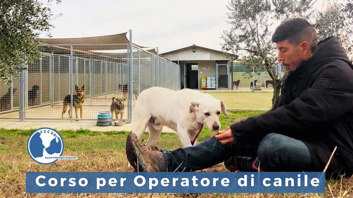 Corso on demand per Operatore di Canile