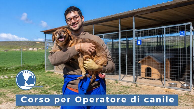 Corso per Operatore di Canile