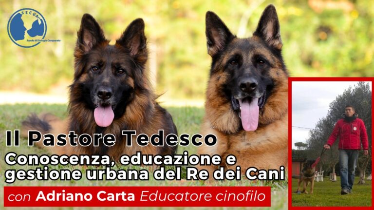 Corso: Il Pastore Tedesco: conoscenza, educazione e gestione urbana- Uditore