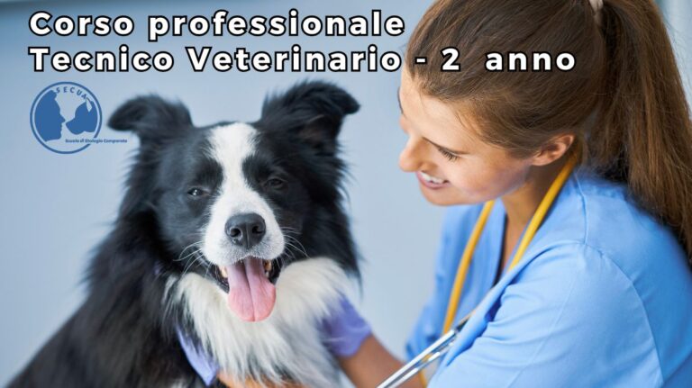 Corso Tecnico veterinario 2 anno