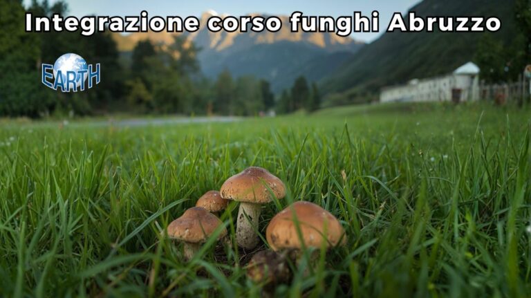 Corso integrativo per permesso funghi Abruzzo